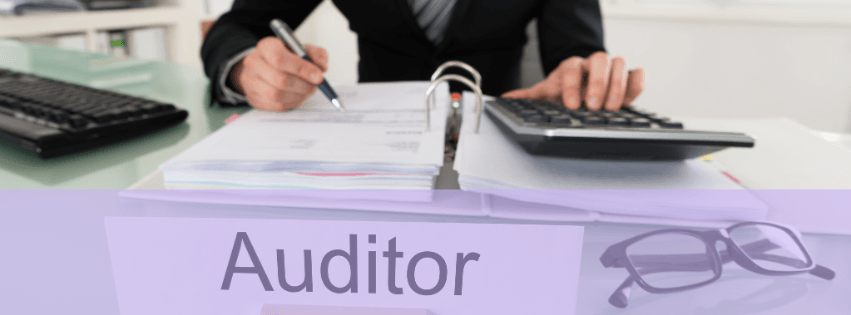 Algorithmic Auditors: Regulating AI in Credit and Risk Assessment